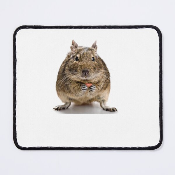 Item preview, Squirrel designed and sold by Gentle40Winks.