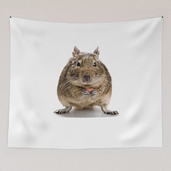 Item preview, Squirrel  designed and sold by Gentle40Winks.