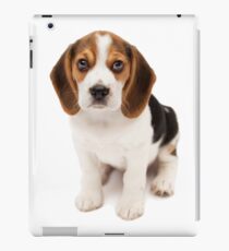 Beagle iPad Case/Skin