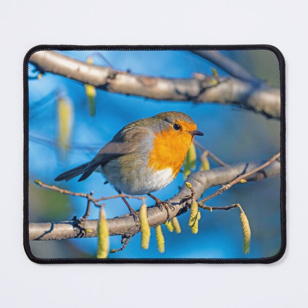 Item preview, Robin in Blue designed and sold by George Kelsey.