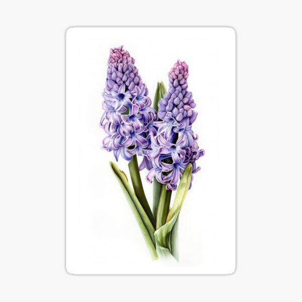 Aperçu de l'œuvre Lavender Hyacinth  créée et vendue par Vanover Designs.