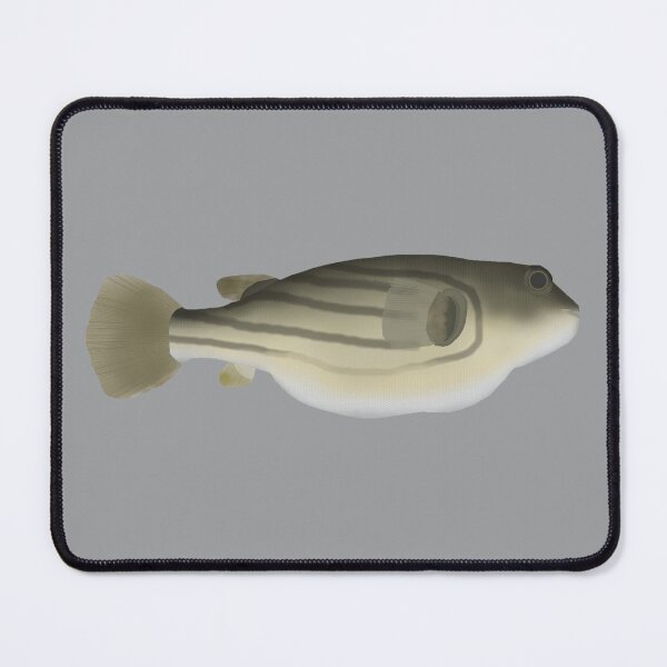 Item preview, Globe Fish designed and sold by fishfolkart.