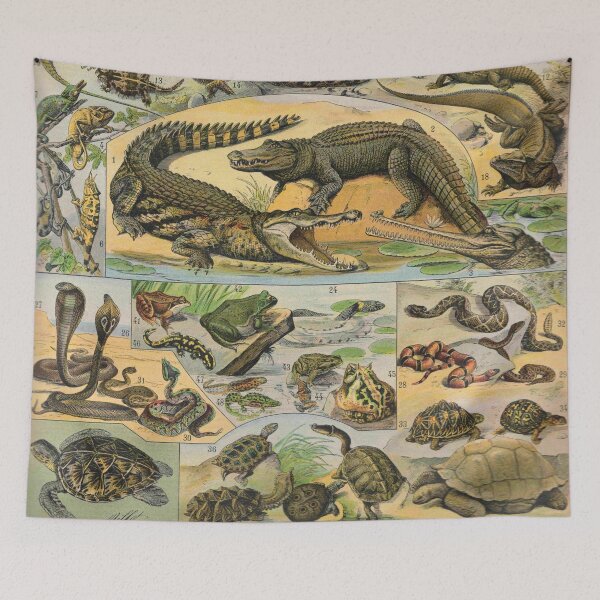 Item preview, Reptiles (1897-1904) - Nouveau Larousse illustré designed and sold by SALON DES ARTS.