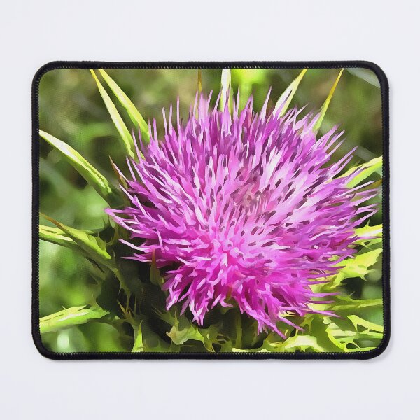 Item preview, Purple Thistle Wildflower Floral Art designed and sold by taiche.