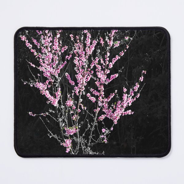Item preview, In the pink designed and sold by Paul Pasco.