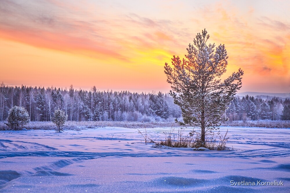 https://www.redbubble.com/people/svetlanakorneli/works/29748155-frosty-evening?asc=u Photographer of the Day is Svetlana Korneliuk