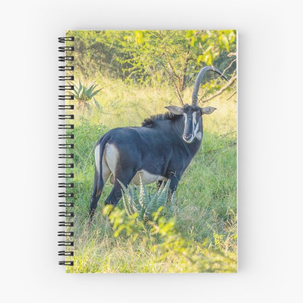 Item preview, Sable Black and Brown Antelopes designed and sold by SafariByMarisa.