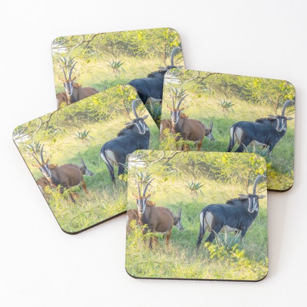Item preview, Sable Black and Brown Antelopes designed and sold by SafariByMarisa.