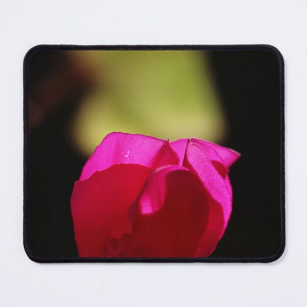 Item preview, Stop or go designed and sold by Paul Pasco.