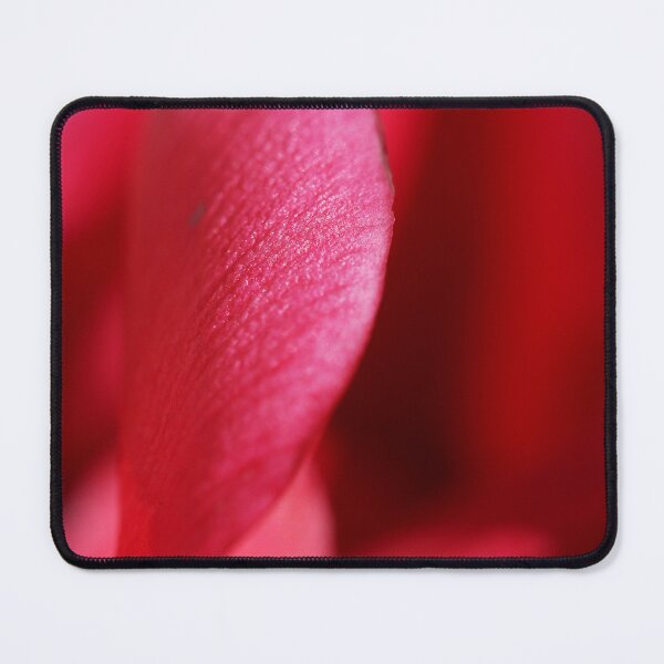 Item preview, Cyclamen curve. designed and sold by Paul Pasco.