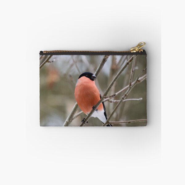 Item preview, Bold look. Eurasian bullfinch designed and sold by Jouko Lehto Photography.