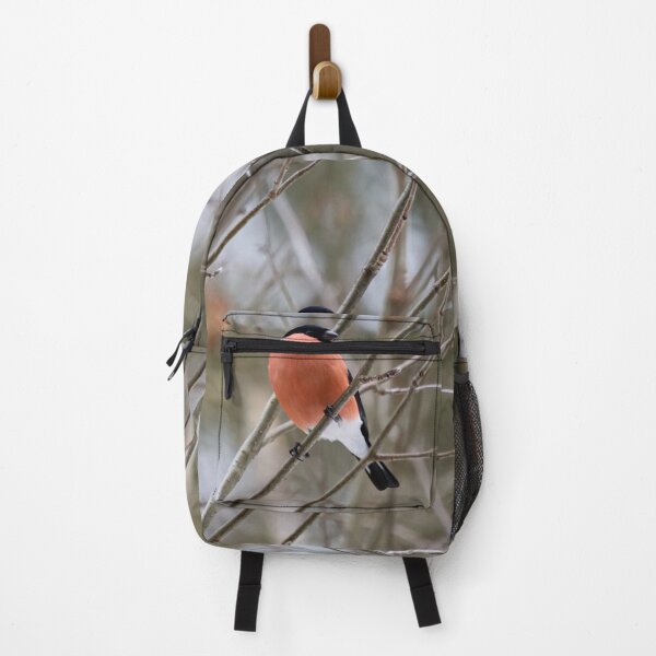 Item preview, Bold look. Eurasian bullfinch designed and sold by Jouko Lehto Photography.