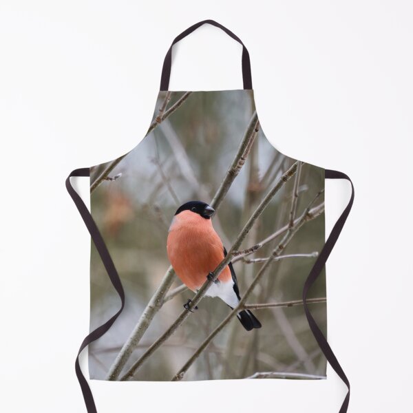 Item preview, Bold look. Eurasian bullfinch designed and sold by Jouko Lehto Photography.