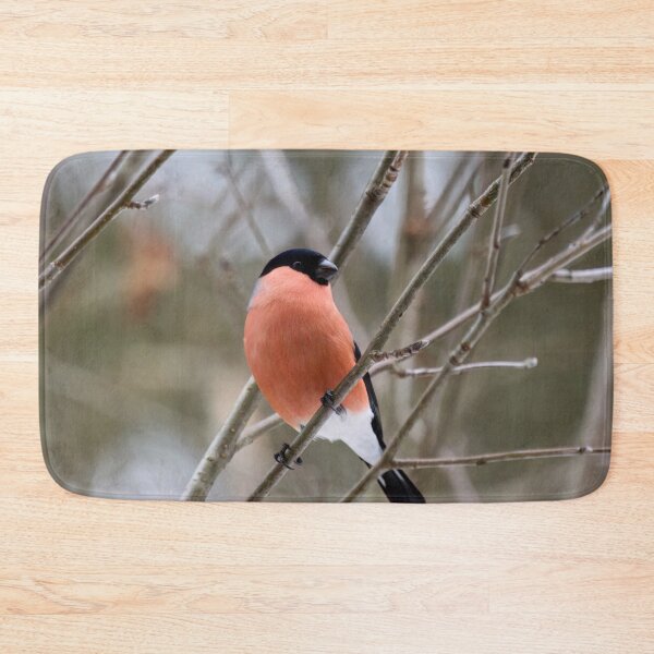 Item preview, Bold look. Eurasian bullfinch designed and sold by Jouko Lehto Photography.
