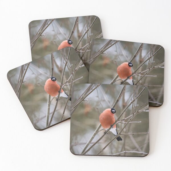 Item preview, So what. Eurasian bullfinch designed and sold by Jouko Lehto Photography.