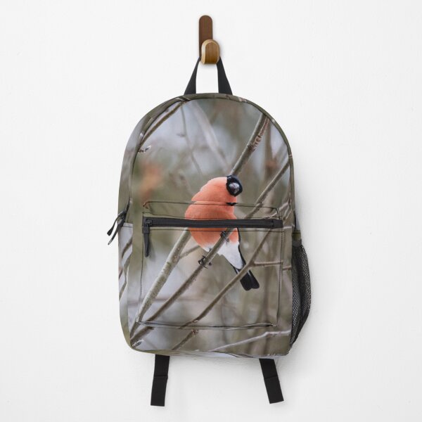 Item preview, So what. Eurasian bullfinch designed and sold by Jouko Lehto Photography.
