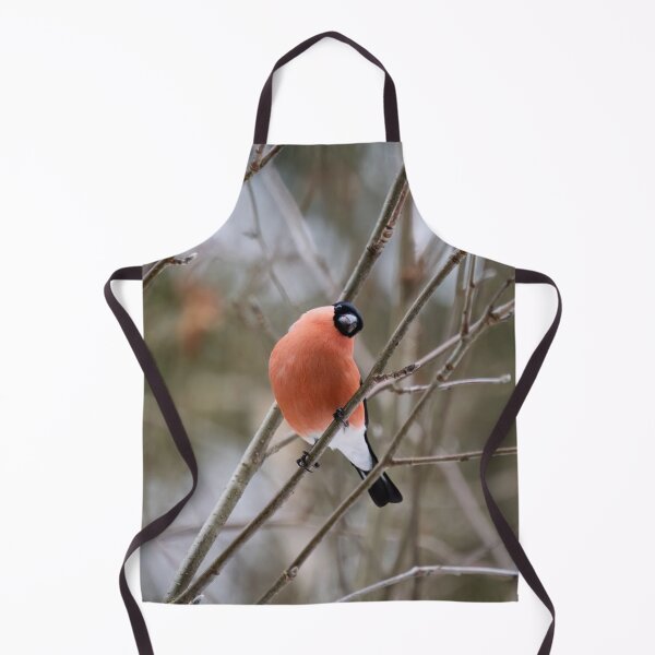 Item preview, So what. Eurasian bullfinch designed and sold by Jouko Lehto Photography.