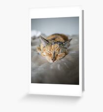 Sleeping Beauty Greeting Card
