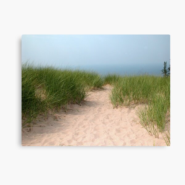 Pathway in the Sand Canvas Print