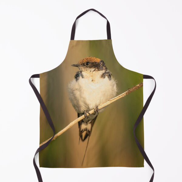 Item preview, Wire-Tailed Swallow Botswana Africa designed and sold by PhotoArt by Joan Carroll.