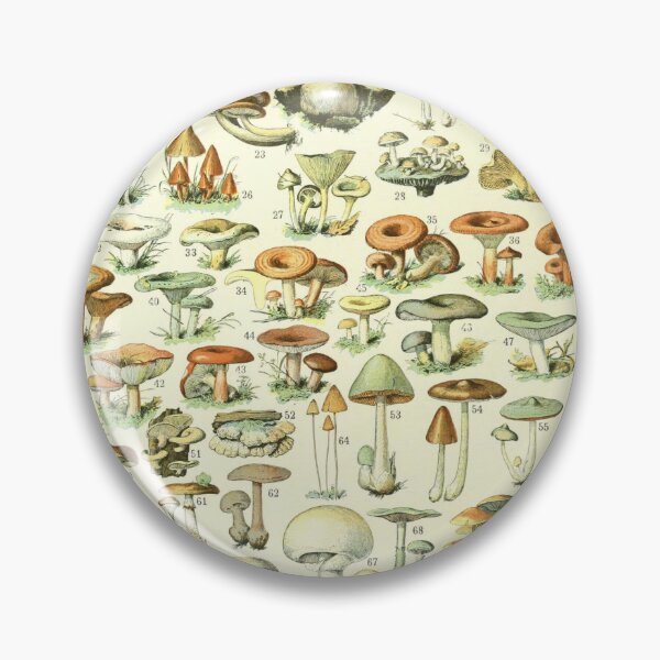 Item preview, Mushrooms (1897-1904) - Nouveau Larousse illustré designed and sold by SALON DES ARTS.