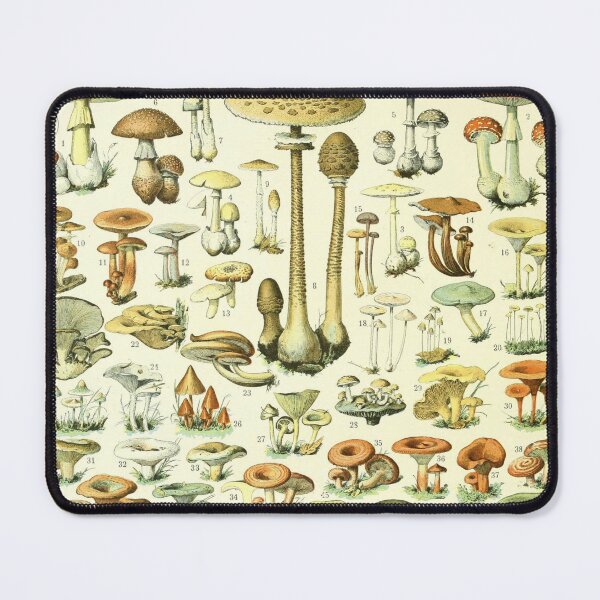 Item preview, Mushrooms (1897-1904) - Nouveau Larousse illustré designed and sold by SALON DES ARTS.
