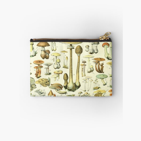 Item preview, Mushrooms (1897-1904) - Nouveau Larousse illustré designed and sold by SALON DES ARTS.