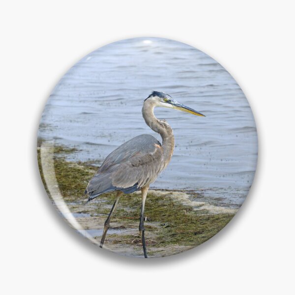Item preview, Heron at the Beach designed and sold by TinyDinoDesigns.