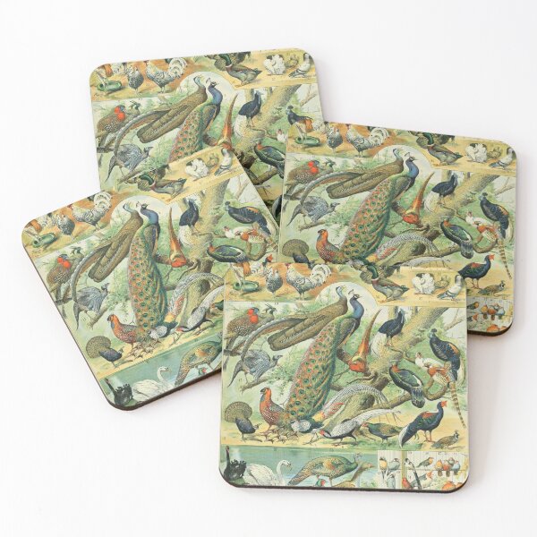 Item preview, Birds (1897-1904) - Nouveau Larousse illustré designed and sold by SALON DES ARTS.