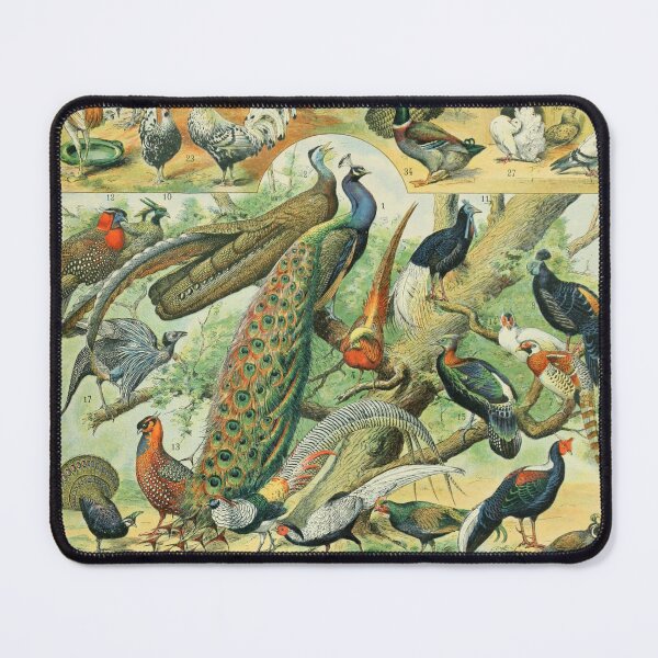 Item preview, Pájaros (1897-1904) - Nouveau Larousse illustré designed and sold by SALON DES ARTS.