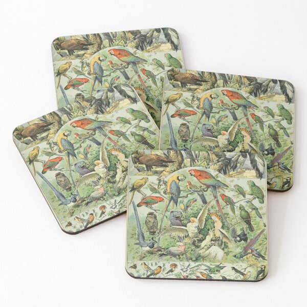 Item preview, Birds (1897-1904) - Nouveau Larousse illustré designed and sold by SALON DES ARTS.