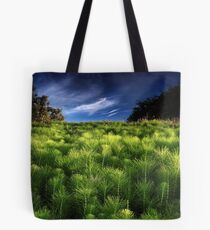 The Meeting of Mare's Tails Tote Bag