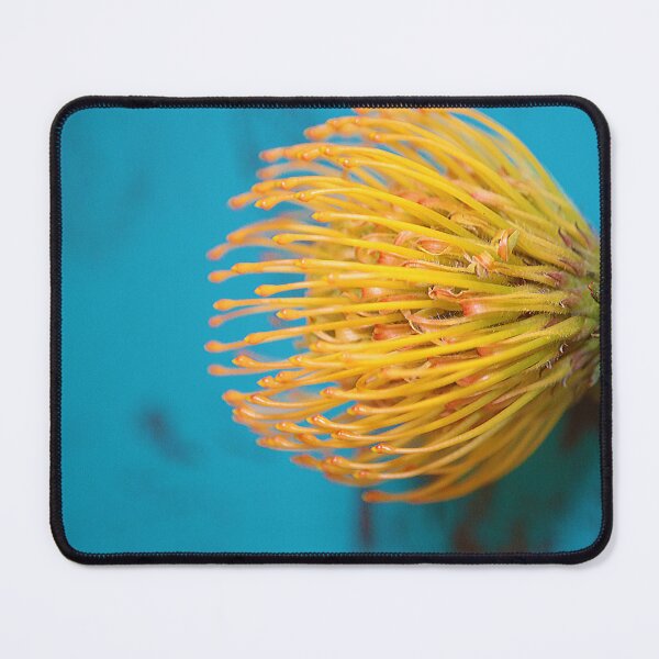 Item preview, Complimentary Colors designed and sold by neldamays.