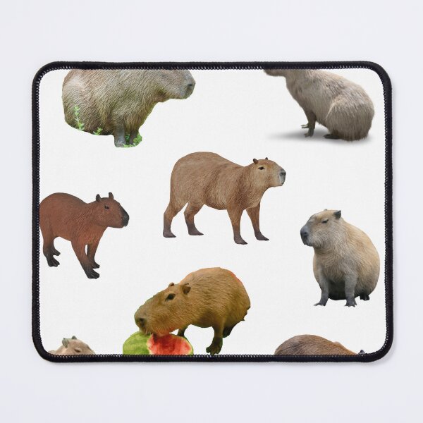 Item preview, (Mostly) real capybaras designed and sold by SxltChipper.