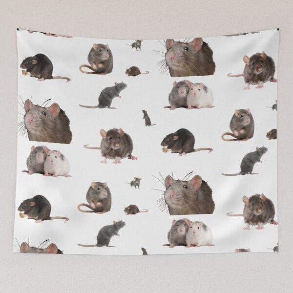 Item preview, The rat set designed and sold by SxltChipper.