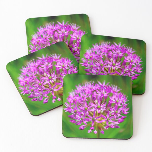Item preview, Globemaster Allium Violet Starburst designed and sold by BostonArcImage.