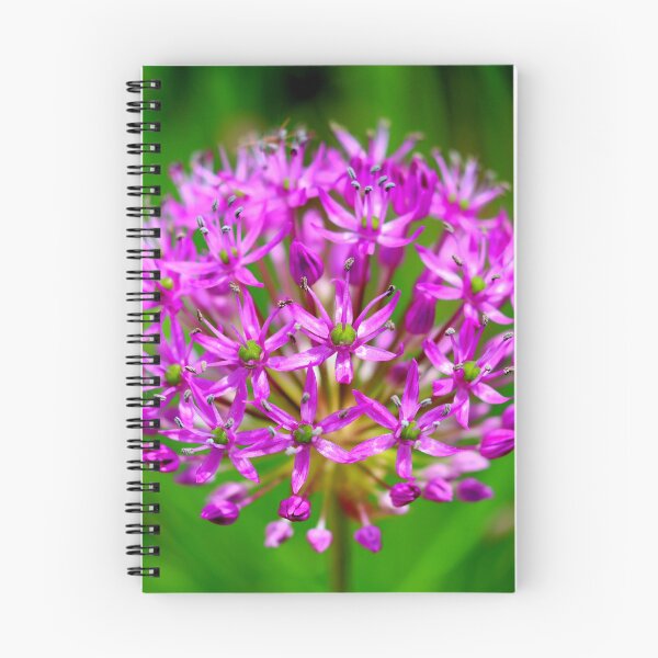 Item preview, Globemaster Allium Violet Starburst designed and sold by BostonArcImage.