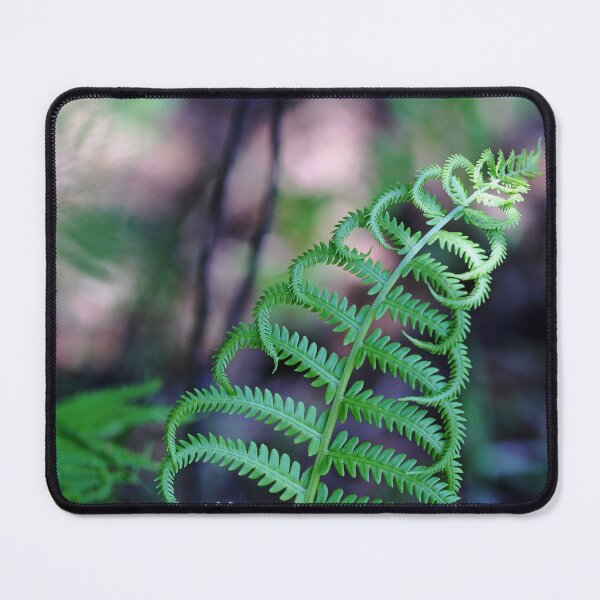 Item preview, Gently Curving Fern designed and sold by Debbie Oppermann.