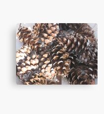 pinecones Canvas Print