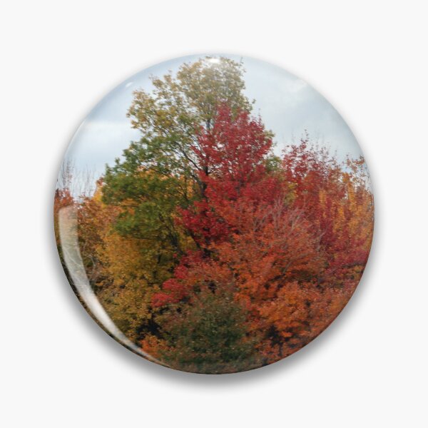 Aperçu de l'œuvre L'automne au lac Brome Québec créée et vendue par heatherfriedman.