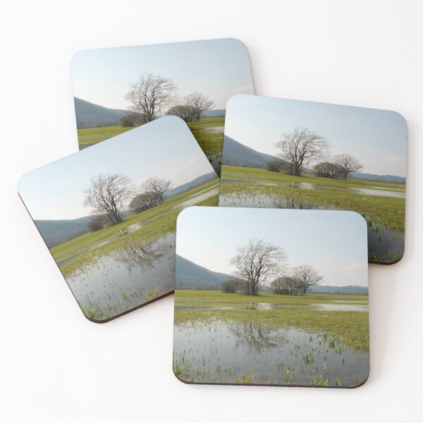 Item preview, Wetlands Near Planina designed and sold by jojobob.