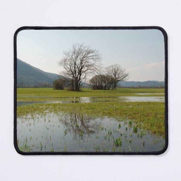 Item preview, Wetlands Near Planina designed and sold by jojobob.