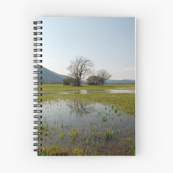 Item preview, Wetlands Near Planina designed and sold by jojobob.