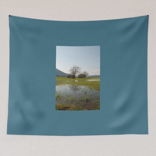 Item preview, Wetlands Near Planina designed and sold by jojobob.