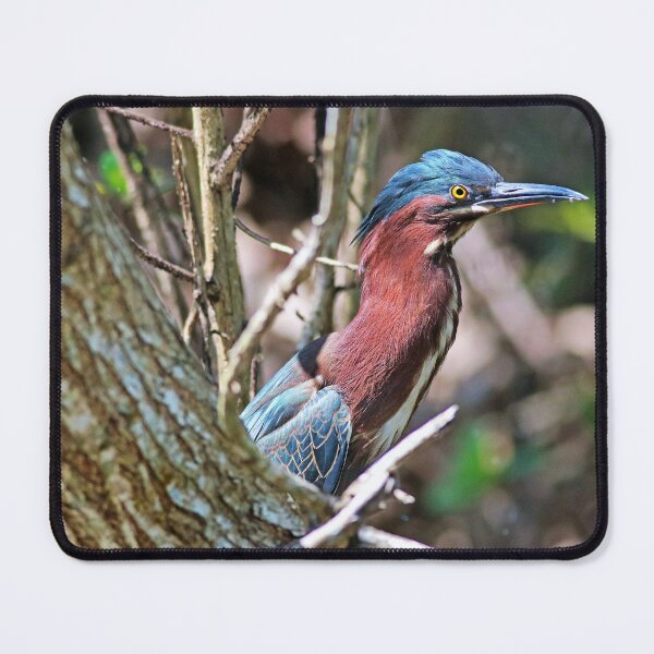 Item preview, Blank Stares designed and sold by Michiale.
