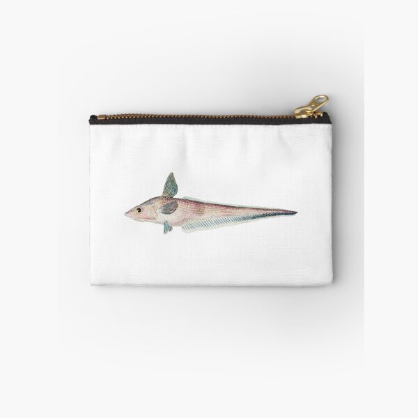 Item preview, Antique Fish Coelorinchus SP NZ Rattail Vintage Fish designed and sold by AmethystMurad.