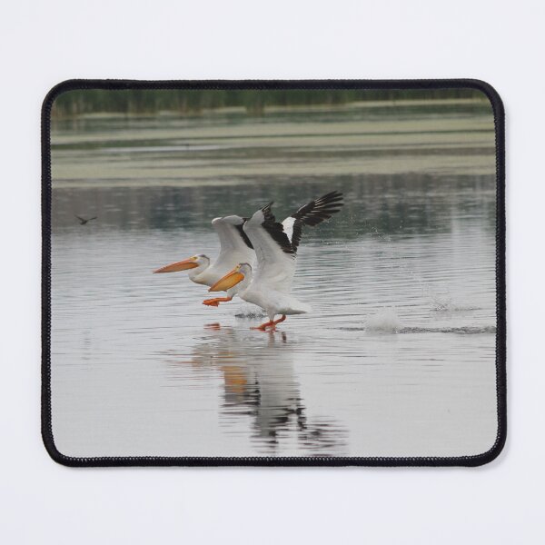 Item preview, A Reflection of Grace designed and sold by Sandy Shiner-Swanson.