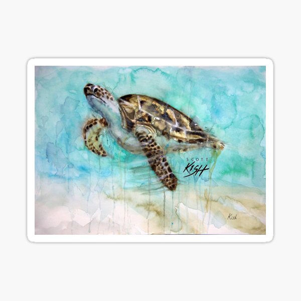 Aquarelle de tortue de mer par Scott Kish Sticker