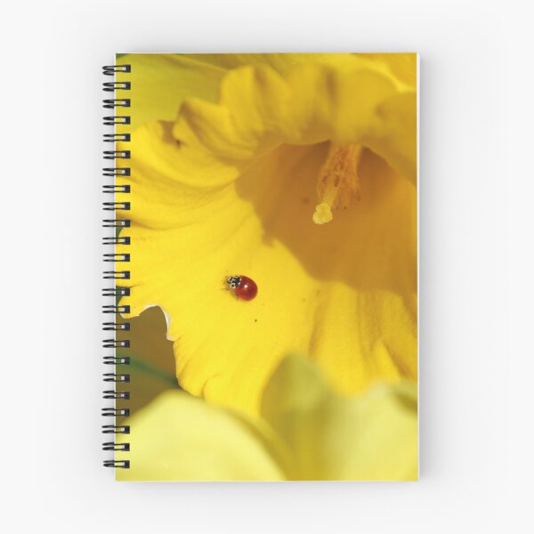 Item preview, Mariquita en un narciso designed and sold by CorvidaesShop.
