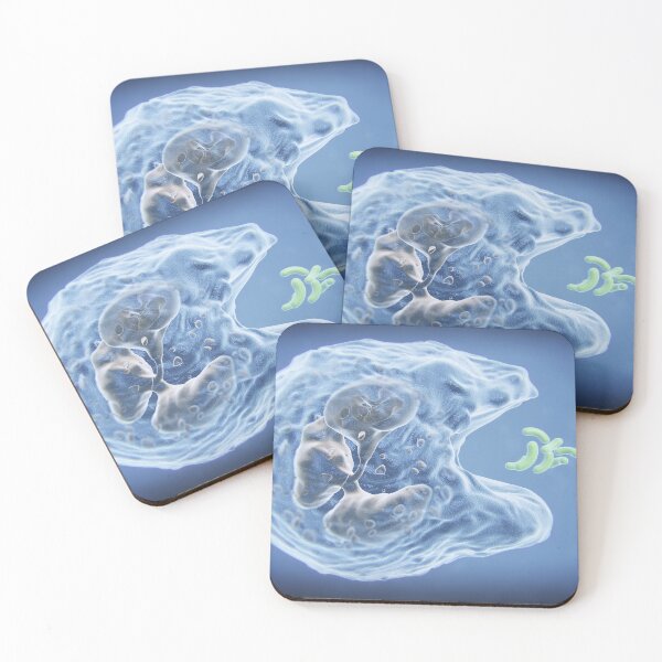 Item preview, Phagocytosis, White Blood Cell and Bacteria Illustration designed and sold by ScienceSource.